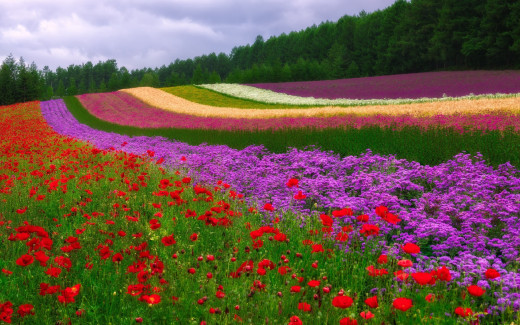 1028590 (a): :1920x1200
